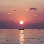 dawdsaf dawd profile picture